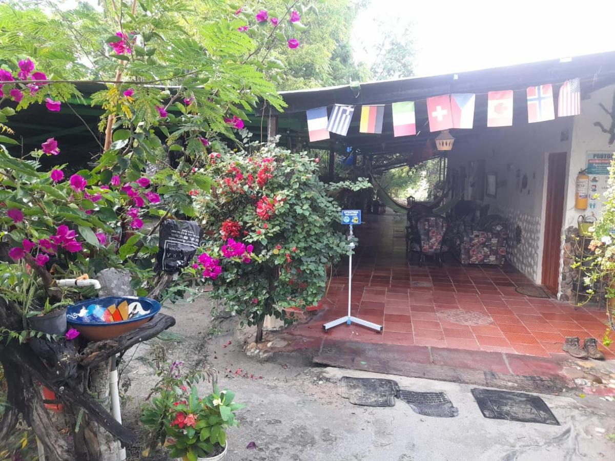 Alojamiento Casa De Campo Los Cactus Villavieja Bagian luar foto