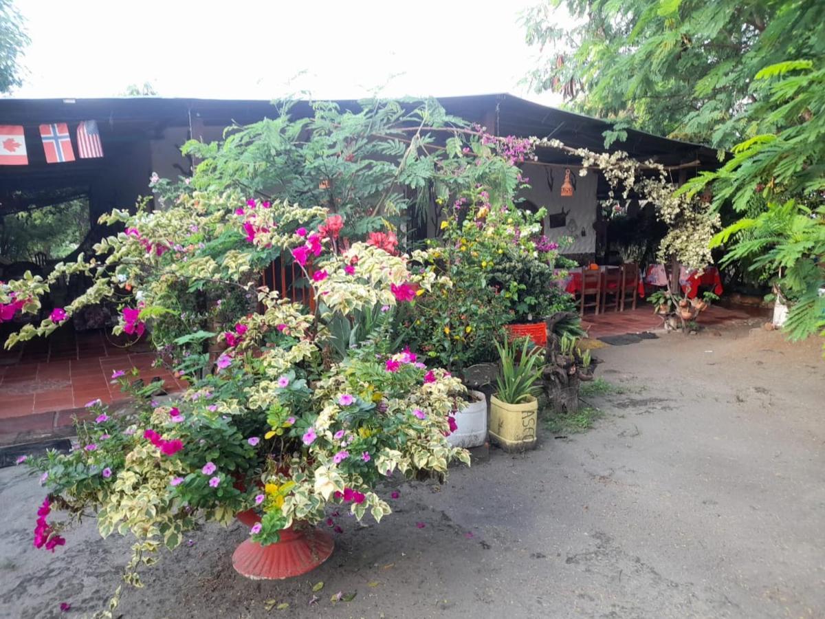 Alojamiento Casa De Campo Los Cactus Villavieja Bagian luar foto