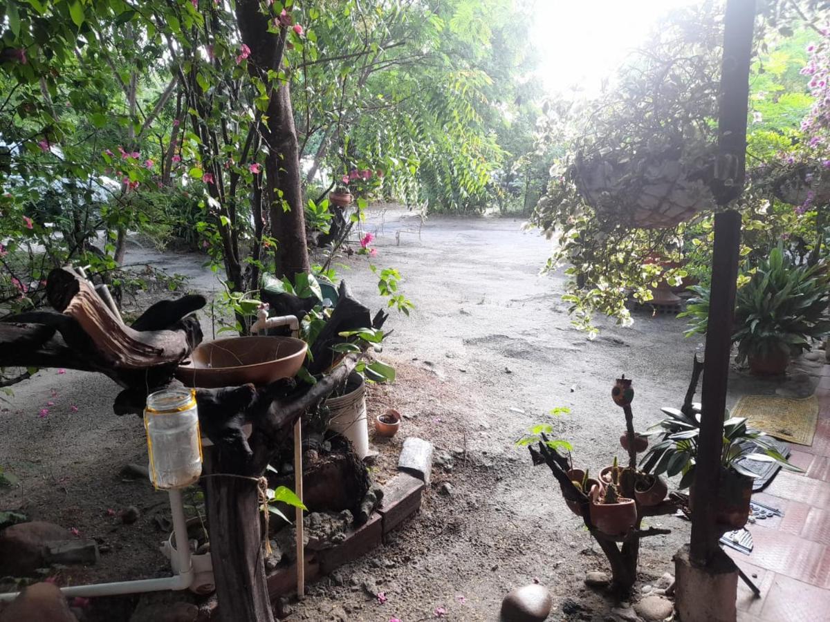 Alojamiento Casa De Campo Los Cactus Villavieja Bagian luar foto