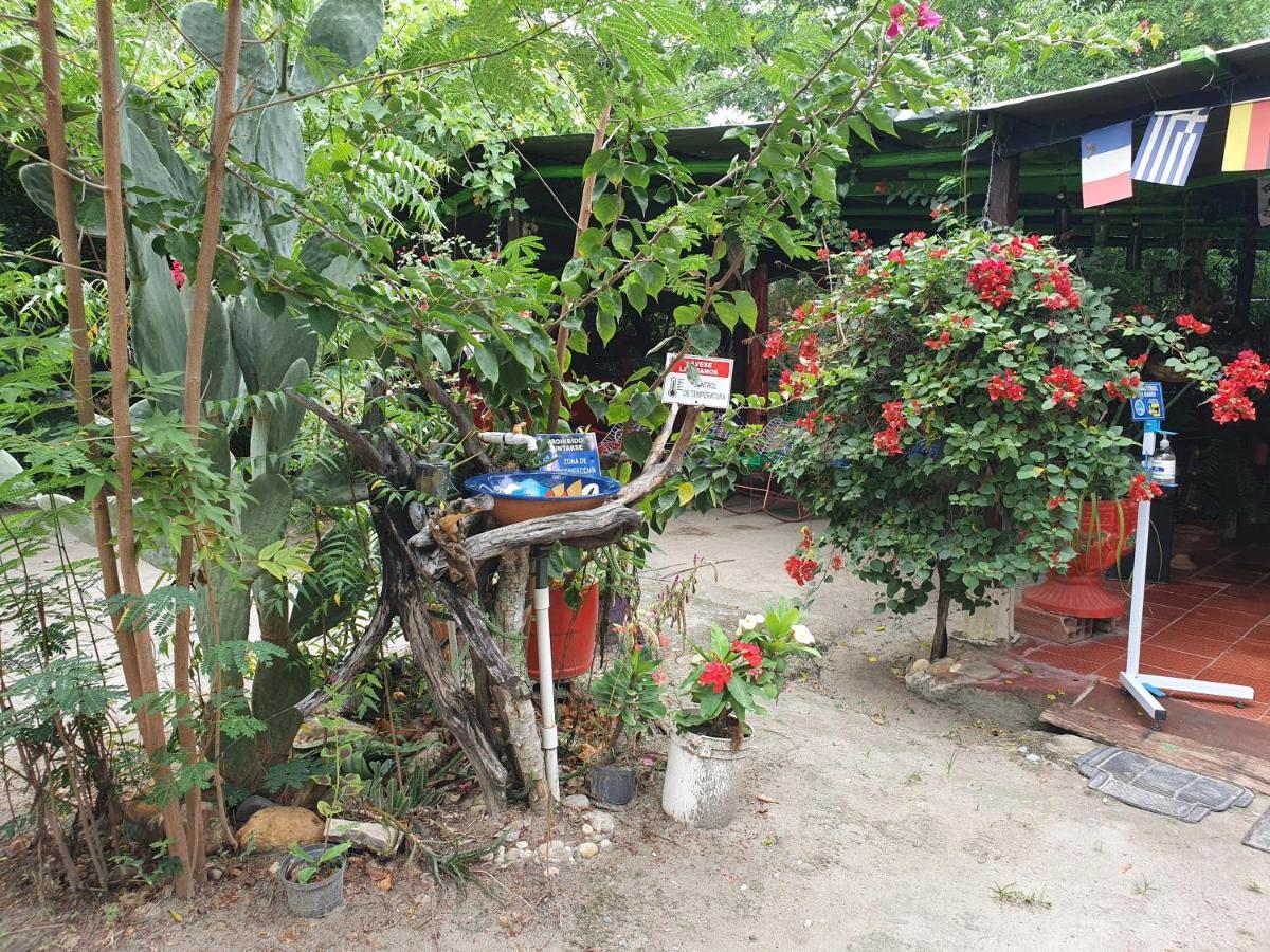 Alojamiento Casa De Campo Los Cactus Villavieja Bagian luar foto