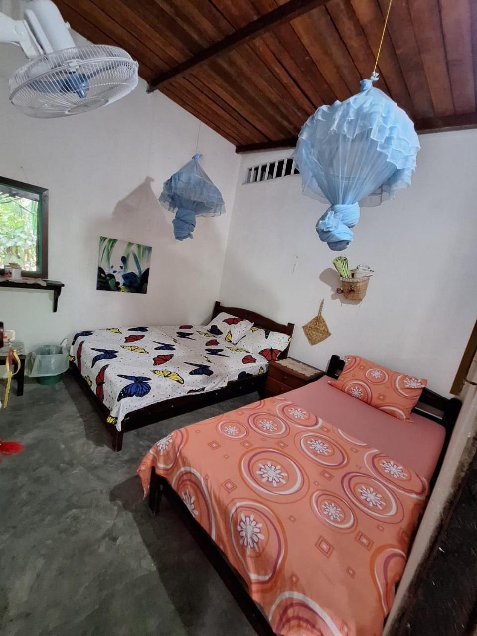 Alojamiento Casa De Campo Los Cactus Villavieja Bagian luar foto