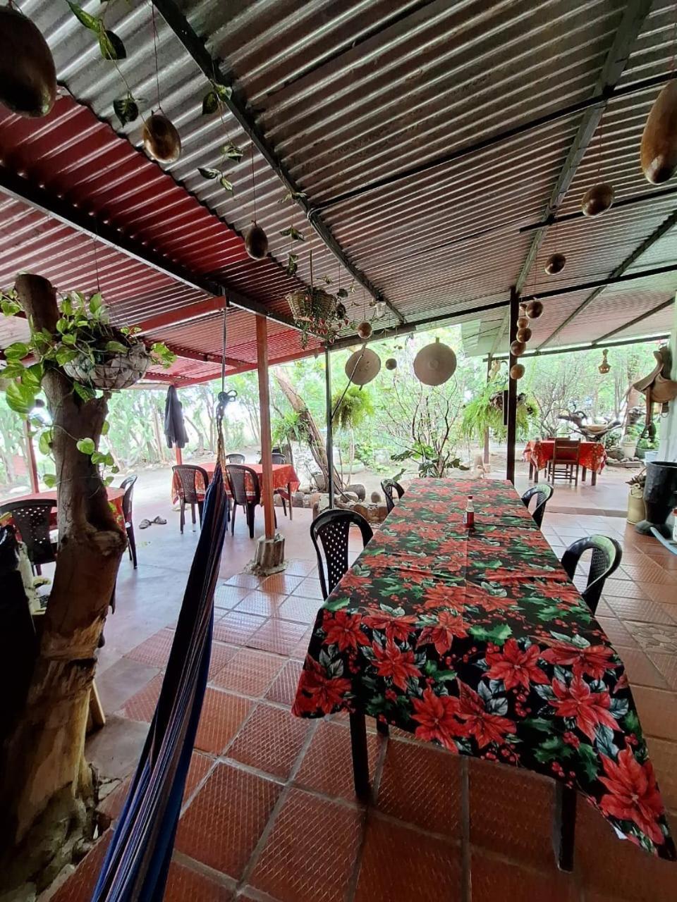 Alojamiento Casa De Campo Los Cactus Villavieja Bagian luar foto
