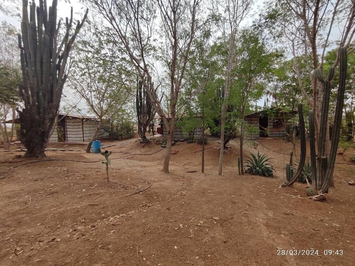 Alojamiento Casa De Campo Los Cactus Villavieja Bagian luar foto