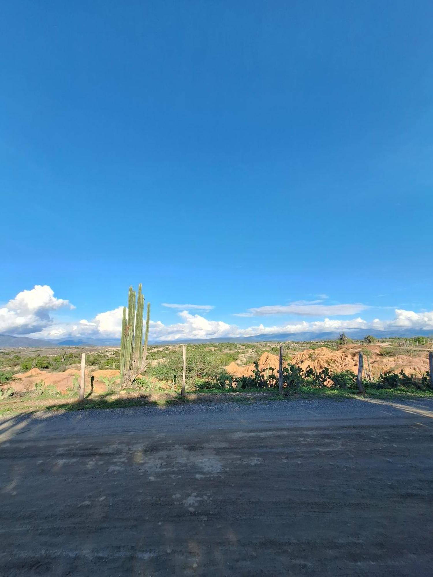 Alojamiento Casa De Campo Los Cactus Villavieja Bagian luar foto