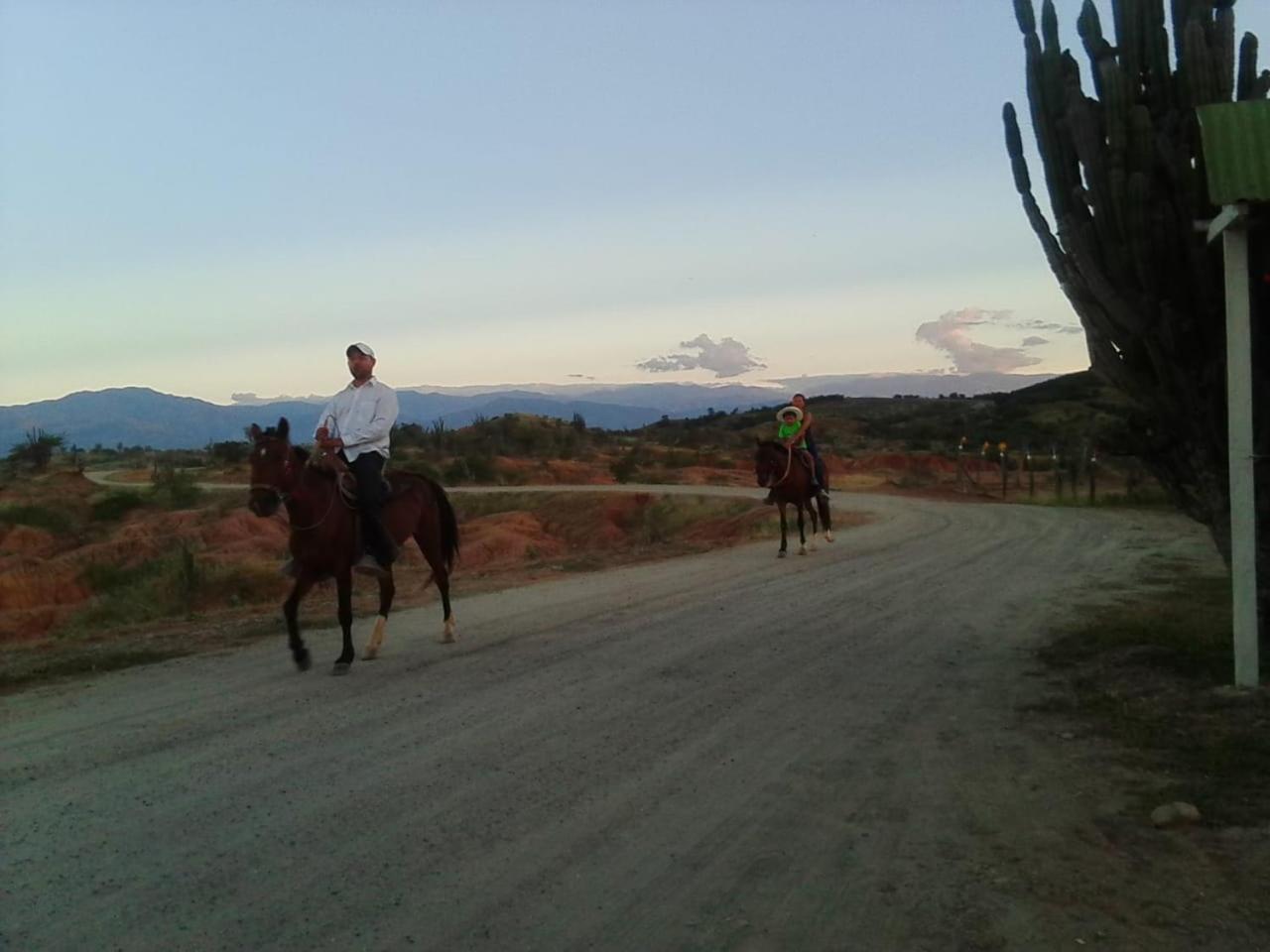 Alojamiento Casa De Campo Los Cactus Villavieja Bagian luar foto