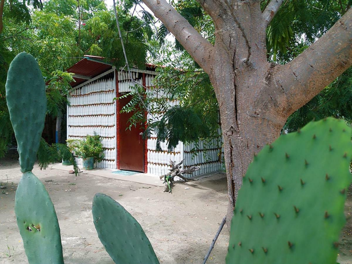 Alojamiento Casa De Campo Los Cactus Villavieja Bagian luar foto