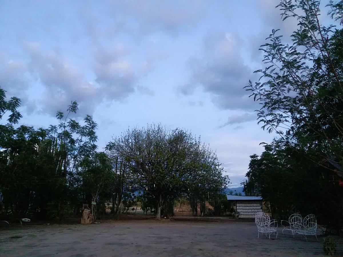 Alojamiento Casa De Campo Los Cactus Villavieja Bagian luar foto